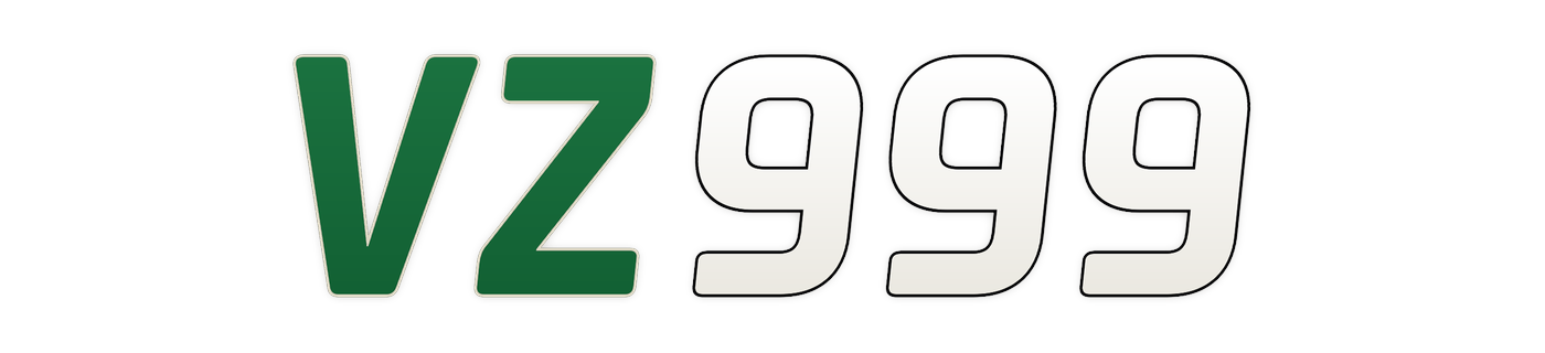 vz999